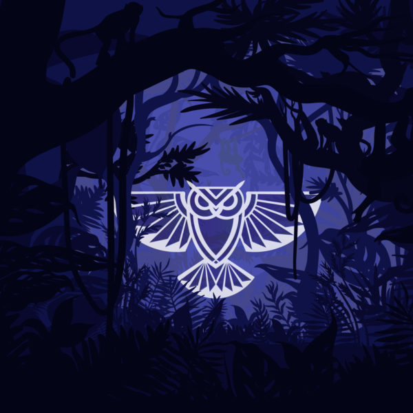 Night scene in forest with Molex Coffee Logo in center
