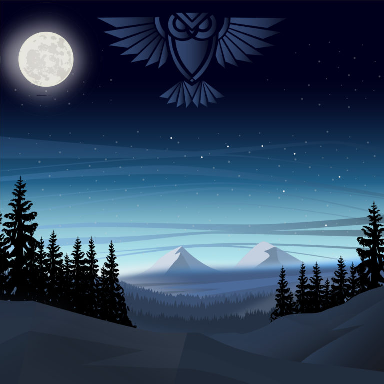 midnight in forest under a full moon.