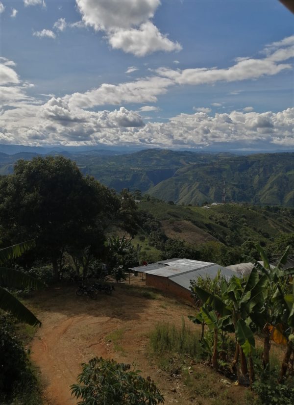 Colombian Andes mountains