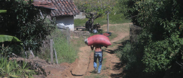 Coffee Farmer Carrying Coffee Sack Down Dirt Road