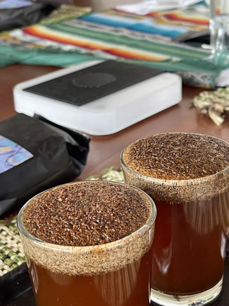 Two cupping glasses of coffee with a thick crust of wet grounds risen to the surface