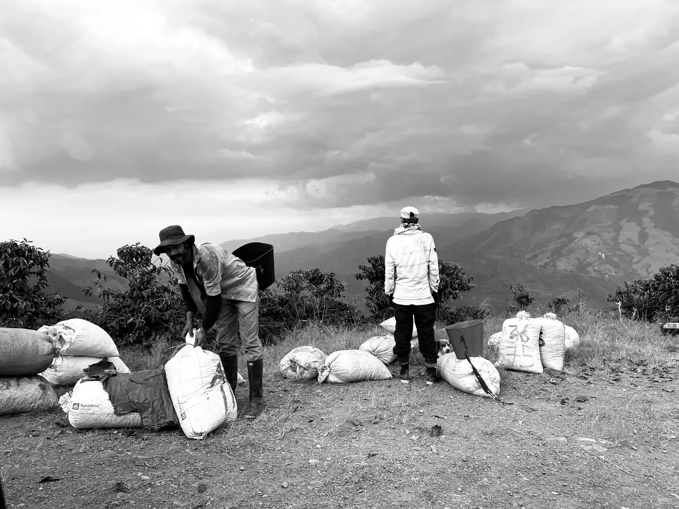 Twenty-Seven Years Later, I Went Back to Colombia for Coffee